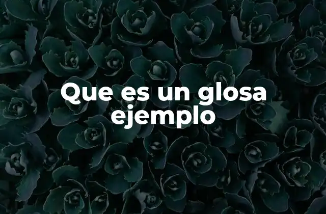 Que es un Glosa Ejemplo