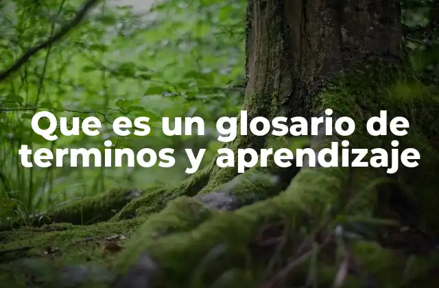 Que es un Glosario de Terminos y Aprendizaje