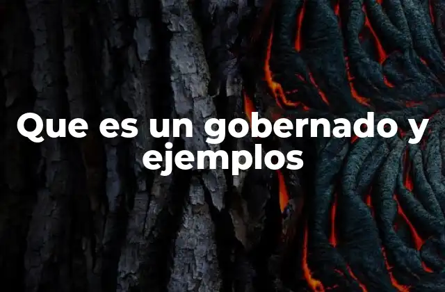 Que es un Gobernado y Ejemplos