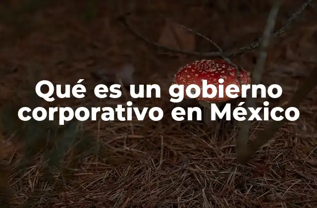 Qué es un Gobierno Corporativo en México