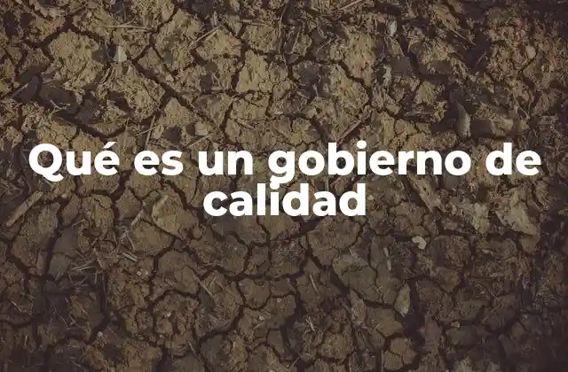 Qué es un Gobierno de Calidad