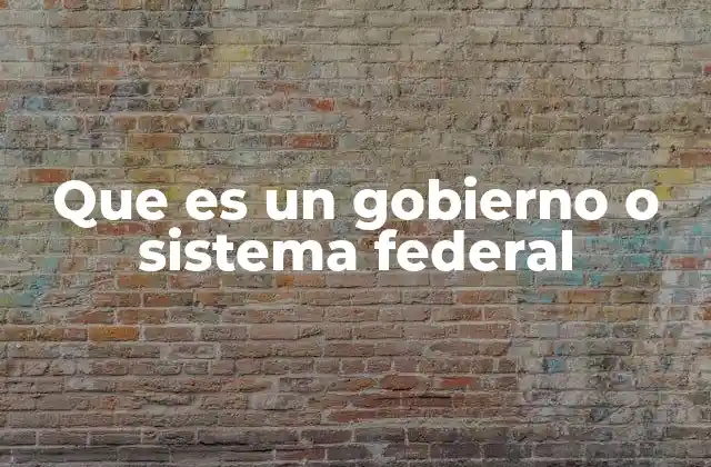 Que es un Gobierno o Sistema Federal