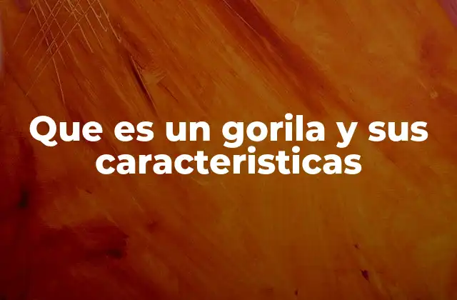 Que es un Gorila y Sus Caracteristicas