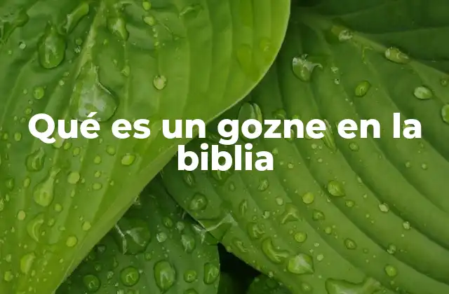 Qué es un Gozne en la Biblia