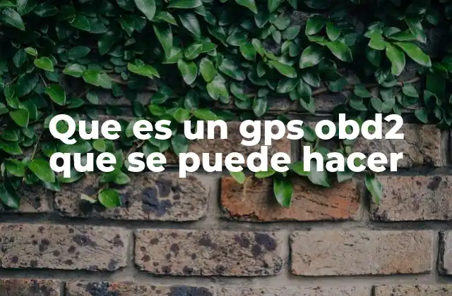 Que es un Gps Obd2 que Se Puede Hacer