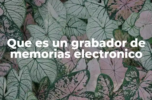 Que es un Grabador de Memorias Electronico