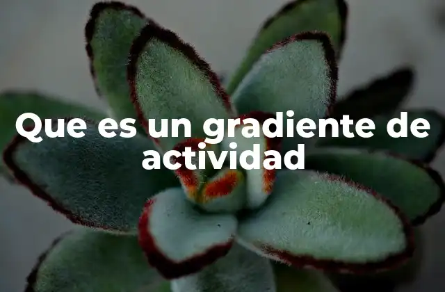 Que es un Gradiente de Actividad
