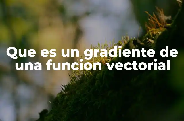 Que es un Gradiente de una Funcion Vectorial 2 El gradiente como herramienta de análisis multivariable