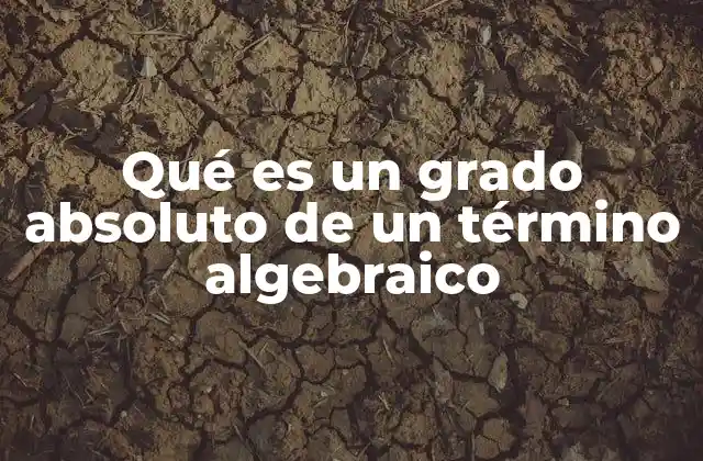 Qué es un Grado Absoluto de un Término Algebraico