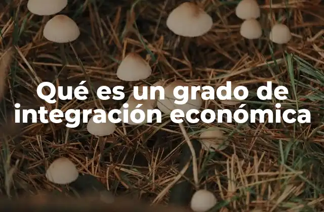 Qué es un Grado de Integración Económica