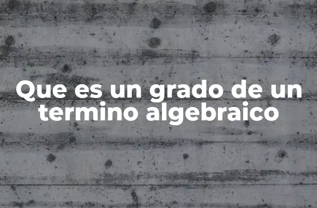 Que es un Grado de un Termino Algebraico