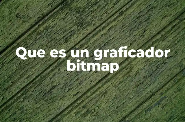 La importancia del graficador bitmap en el diseño digital