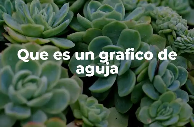 Que es un Grafico de Aguja