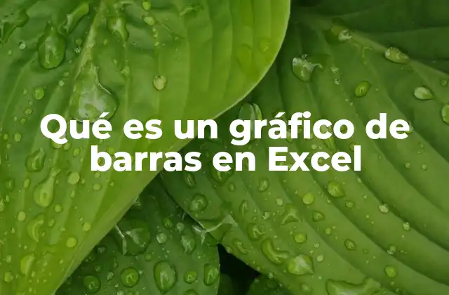 Qué es un Gráfico de Barras en Excel