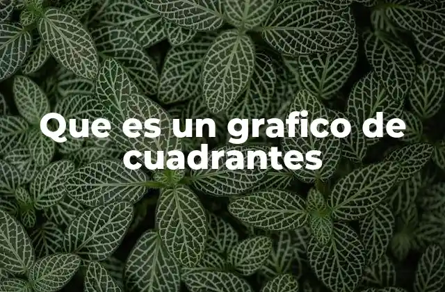 Que es un Grafico de Cuadrantes