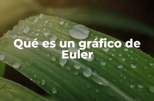 Qué es un Gráfico de Euler