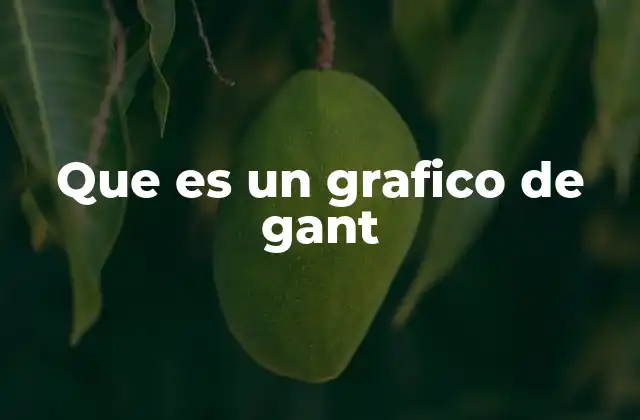 Que es un Grafico de Gant
