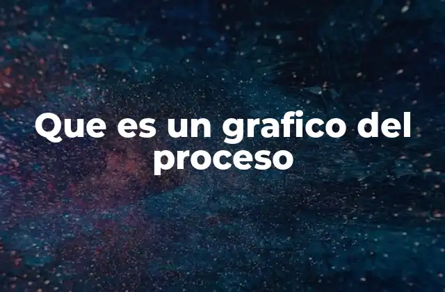 Que es un Grafico Del Proceso