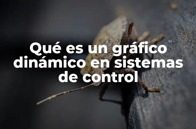 Qué es un Gráfico Dinámico en Sistemas de Control