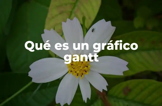 Qué es un Gráfico Gantt