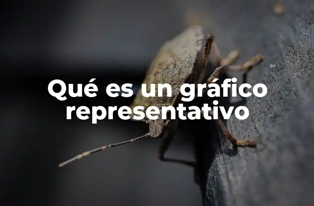 Qué es un Gráfico Representativo