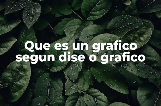 Que es un Grafico Segun Dise o Grafico