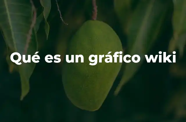 Qué es un Gráfico Wiki