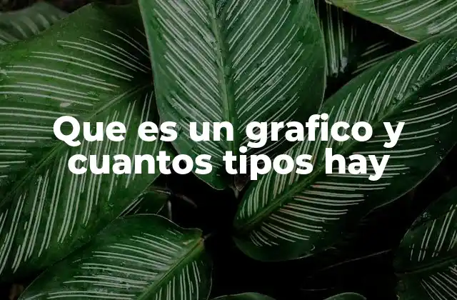 Que es un Grafico y Cuantos Tipos Hay