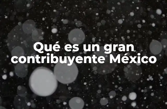 Qué es un Gran Contribuyente México