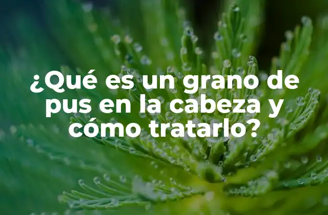 ¿qué es un Grano de Pus en la Cabeza y Cómo Tratarlo?