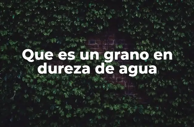 Que es un Grano en Dureza de Agua