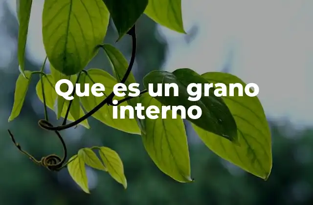 Que es un Grano Interno