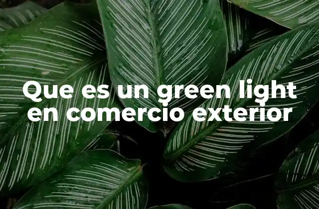 Que es un Green Light en Comercio Exterior