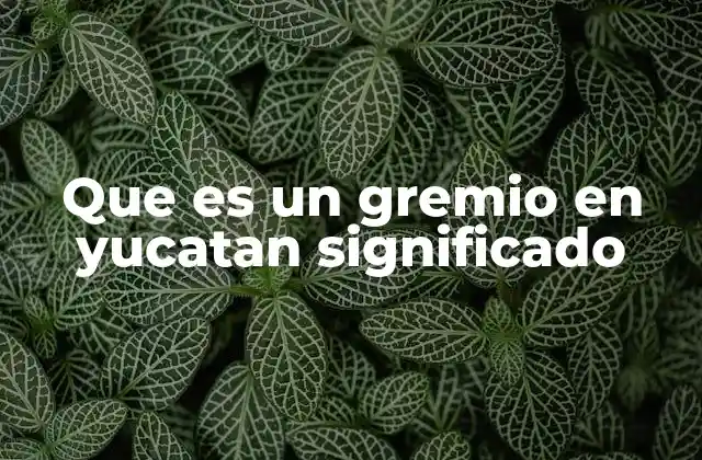 Que es un Gremio en Yucatan Significado