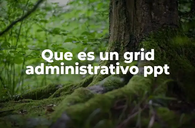 Que es un Grid Administrativo Ppt 2 La importancia de visualizar la administración en PowerPoint
