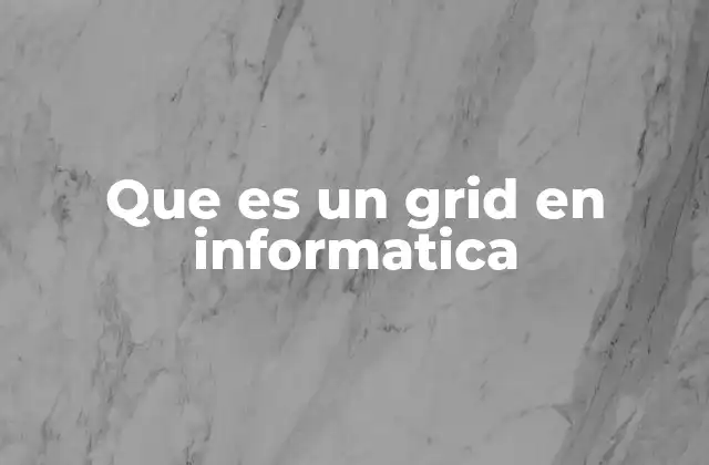 Que es un Grid en Informatica