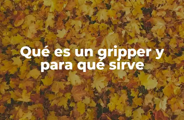 Qué es un Gripper y para Qué Sirve