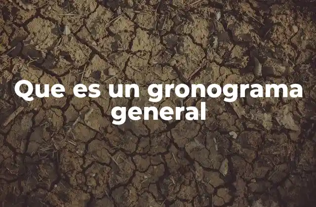 Que es un Gronograma General