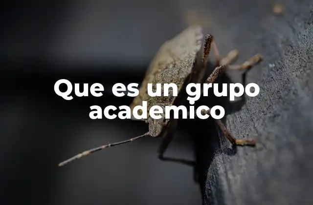 Que es un Grupo Academico