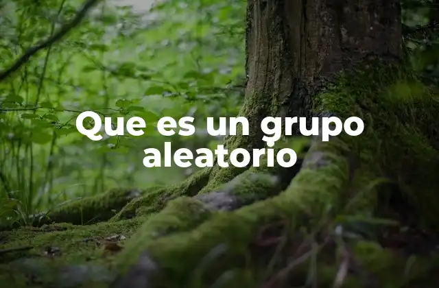 La importancia de la aleatorización en la investigación