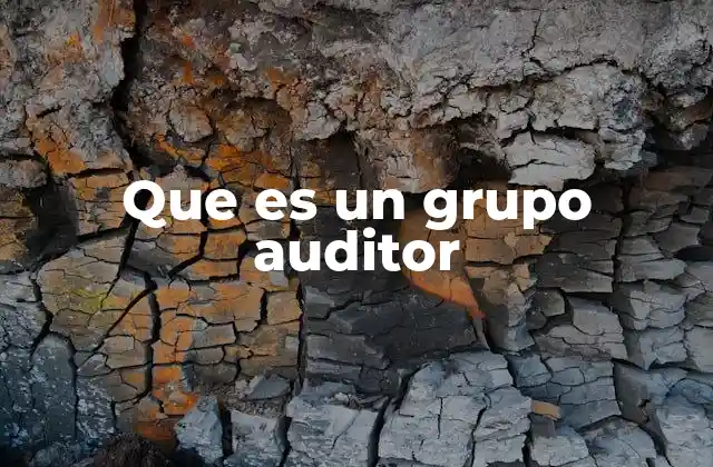 Que es un Grupo Auditor