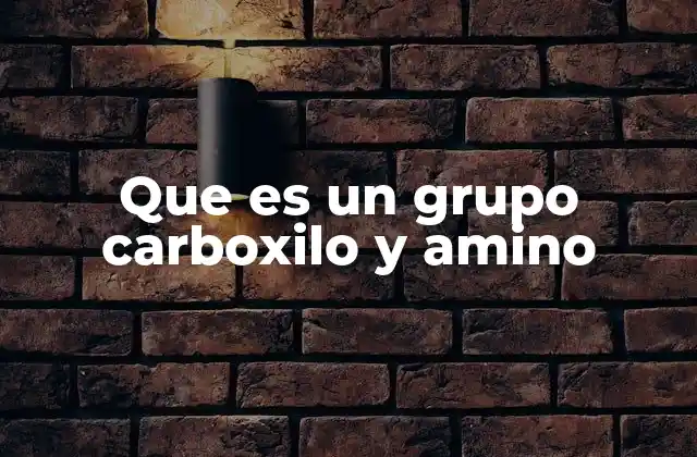 Que es un Grupo Carboxilo y Amino