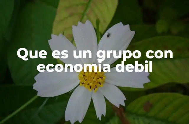Que es un Grupo con Economia Debil