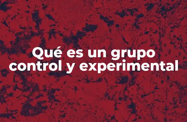 Diferencias entre ambos grupos sin mencionar directamente el término
