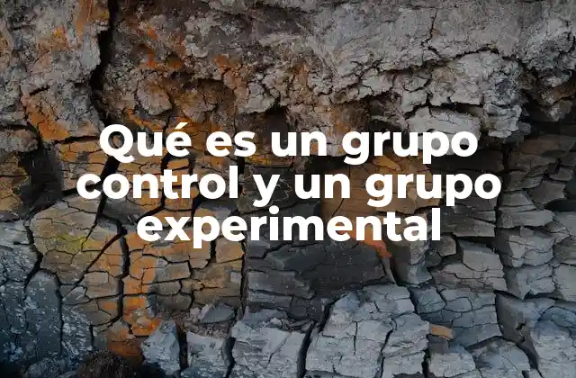 Qué es un Grupo Control y un Grupo Experimental