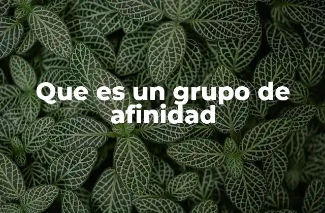 Que es un Grupo de Afinidad