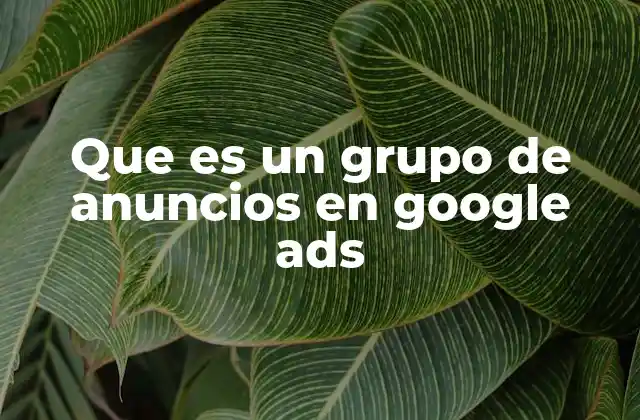 Que es un Grupo de Anuncios en Google Ads