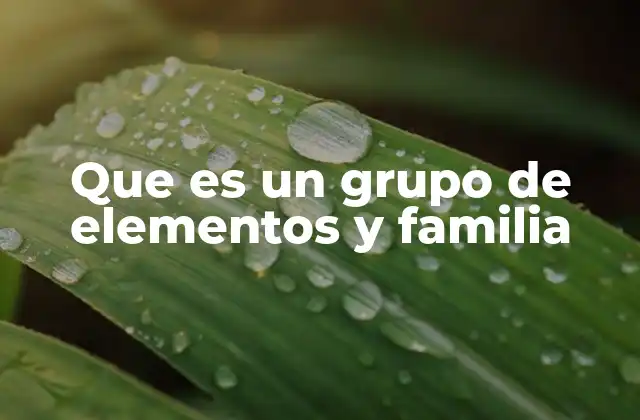 Que es un Grupo de Elementos y Familia