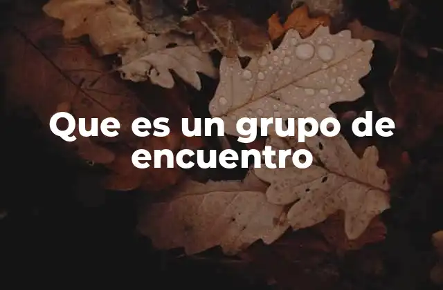 Que es un Grupo de Encuentro