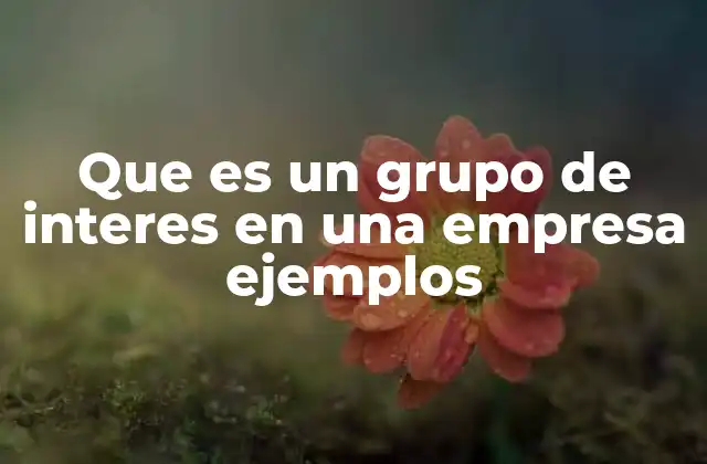 Que es un Grupo de Interes en una Empresa Ejemplos